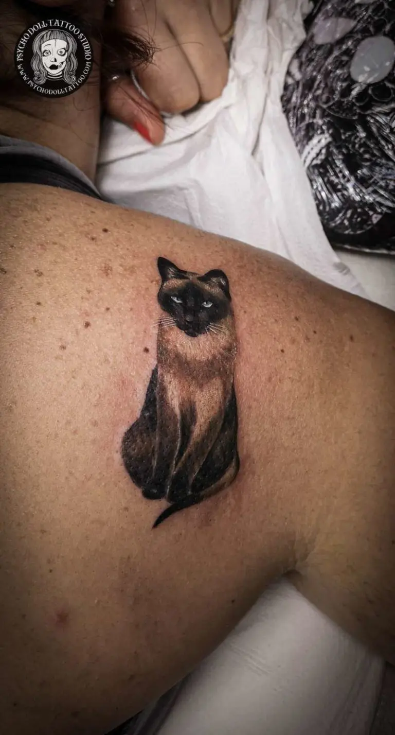 ТАТУИРОВКИ КОШКИ СОБАКИ