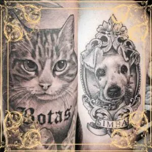 mallorca katzen und hunde tätowieren