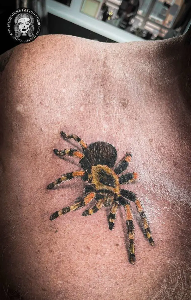tarantula tatuointi