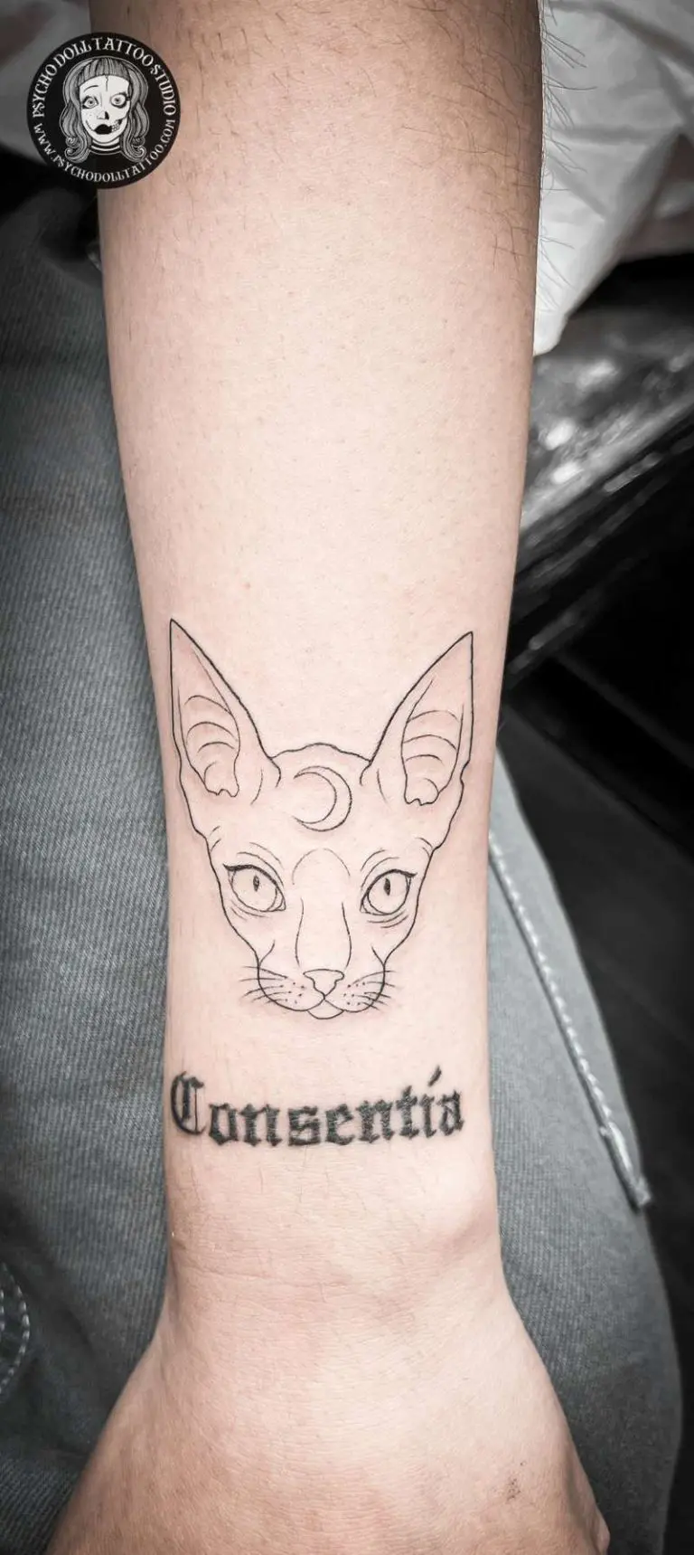 tatuagem de consentimento com gato tatuagem de linha fina gato