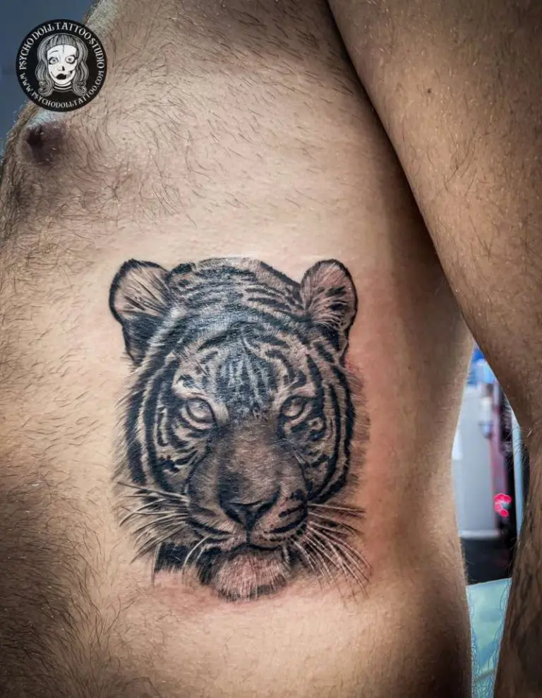 tatuointikansi tiikerillä